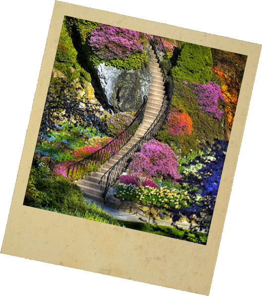 Bettys Photos on Fabric - Highest Quality Printable Fabric for Photo Printing